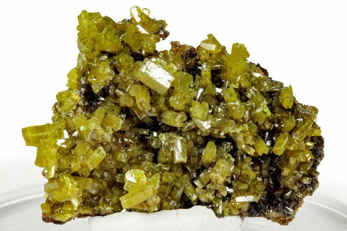 Lustrous Apple-Green Pyromorphite Crystal Cluster - China #330048